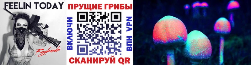 Псилоцибиновые грибы Psilocybine cubensis  даркнет формула  Козельск  как найти  